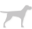 Dogstar-grey